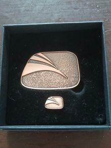 Gaisce President Bronze