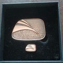 Gaisce President Bronze