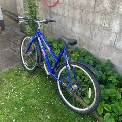 Mystique bike