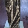 Fossil Orthoceras Image 3