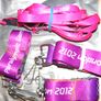 Games Maker Baton for the 2012 Paralympic Lanyard  Games 2012 Unique Gifts Image 6