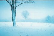 Free Postage! The Christmas Pan Pipe Album. CD.