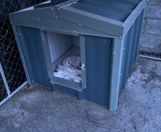 Insulated Dog Kennel