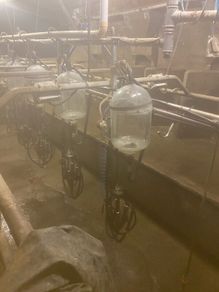 Milking Palour