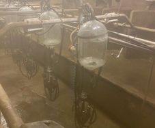 Milking Palour