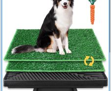 Dog wee tray for apartment or house