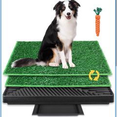 Dog wee tray for apartment or house
