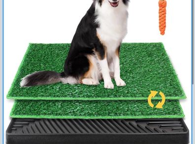 Dog wee tray for apartment or house