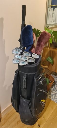 junior golf set