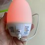 GroEgg Image 2