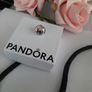 new genuine pandora horse shoe good luck charm Image 4