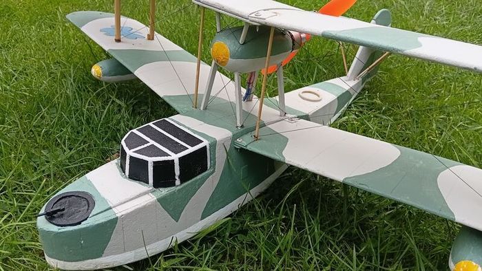 Radio Controlled model plane