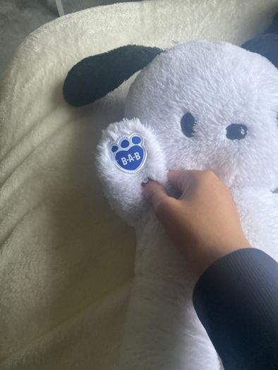 Sanrio Build a bear Teddy