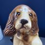 Vintage Large Italian Porcelain Figurine 'Dog in Boot' Image 3