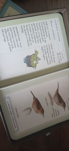 Ornithology