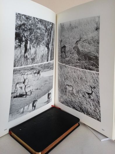 Recherches, Biologiques, Contemporaines: Ouvrage dedie a la memoire du Dr Manfred Gabe (1916-1973) (RB455)