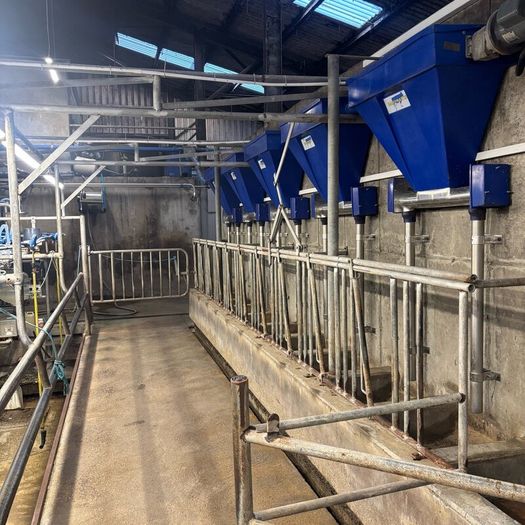 10 Unit Dairymaster Parlour