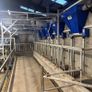 10 Unit Dairymaster Parlour Image 2