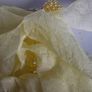 Lemon Yellow Pearl Cluster Stud Glass Inlay Extravagant Chiffon Petal Tassel Earrings Image 4