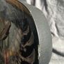 Ovation DJ Ashba Chrome Bone Image 2