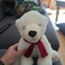 polar bear teddy Image 2