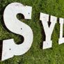 Vintage Shop front Letters, Image 5