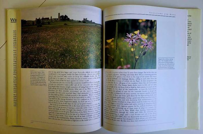 Ireland's Wild Countryside Eamon de Buitlear Hardback 1995 Very Good Condition