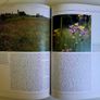 Ireland's Wild Countryside Eamon de Buitlear Hardback 1995 Very Good Condition Image 7