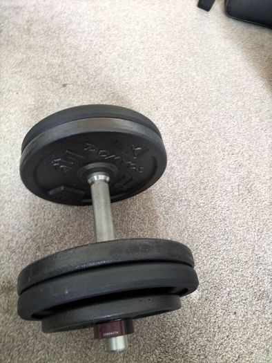 30kg adjustable Domyos Dumbbell (pair)