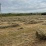 Hay Image 3
