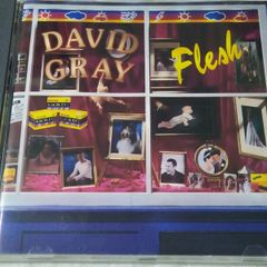 David Grey - Flesh (Promo Copy) Cd