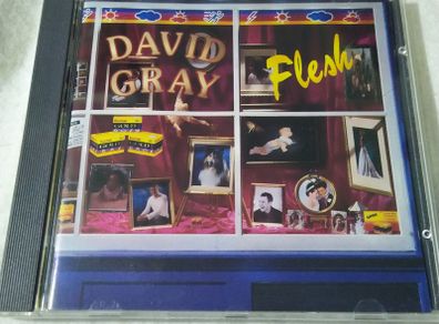 David Grey - Flesh (Promo Copy) Cd