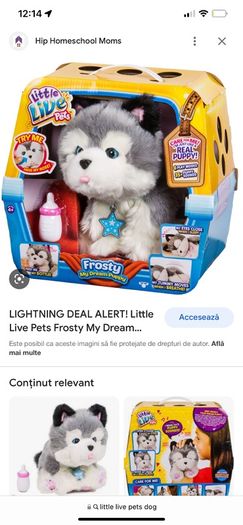 little live pets
