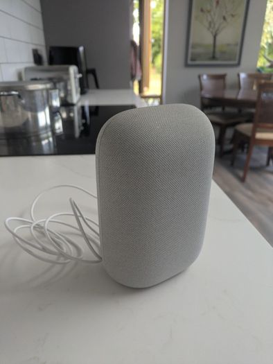 Google Nest Speaker