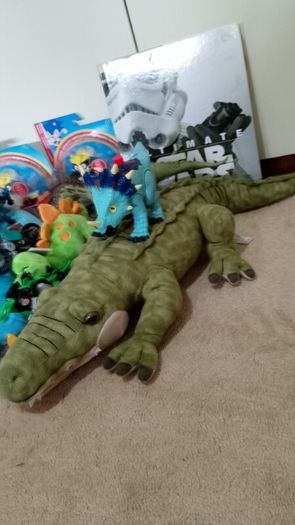 Large Toy Bundle