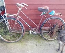 girls bikes