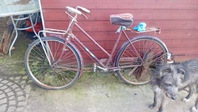 girls bikes