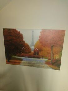 canvas p