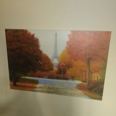 canvas p