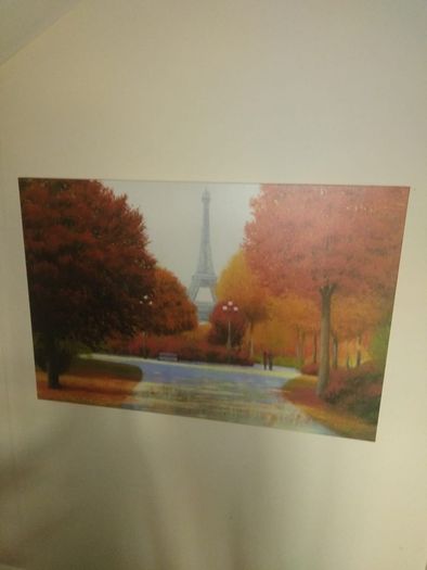 canvas p