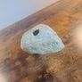 Free Reptile Equipment Image 6