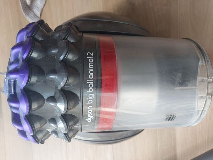 Dyson Big Ball Animal 2