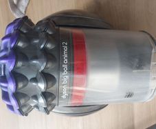 Dyson Big Ball Animal 2