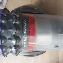 Dyson Big Ball Animal 2