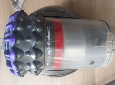 Dyson Big Ball Animal 2