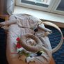 Stokke Tripp Trapp Newborn Set Grey Image 3