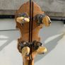 Paramount Style B Tenor banjo Image 8