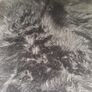 Faux Rug Image 2