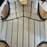Racesafe child's body protector size Medium Image 4