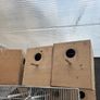 bird breeding boxes Image 2